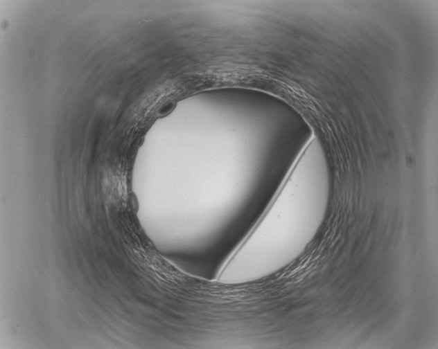 X0000060761155200511100906
