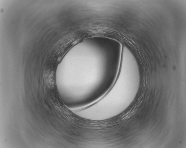 X0000060761156200511100906