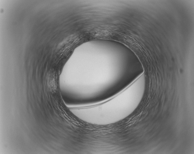 X0000060761250200511100904