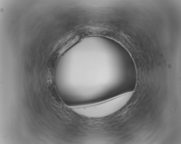X0000060761253200511100904