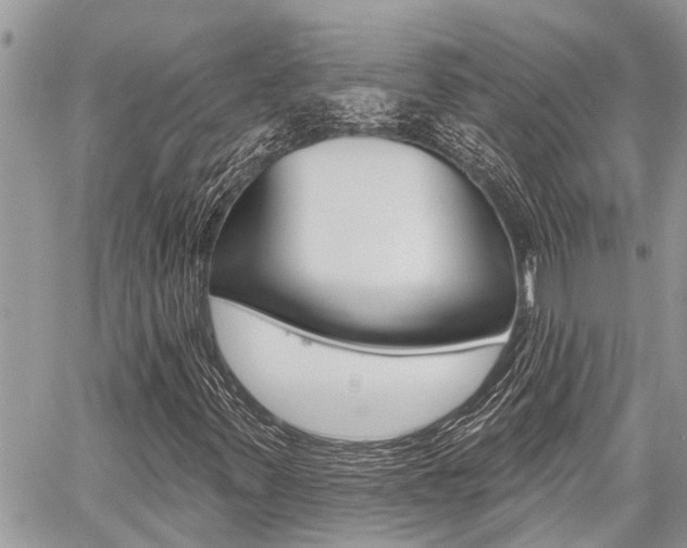 X0000060761347200511100902