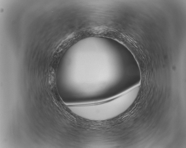 X0000060761349200511100902