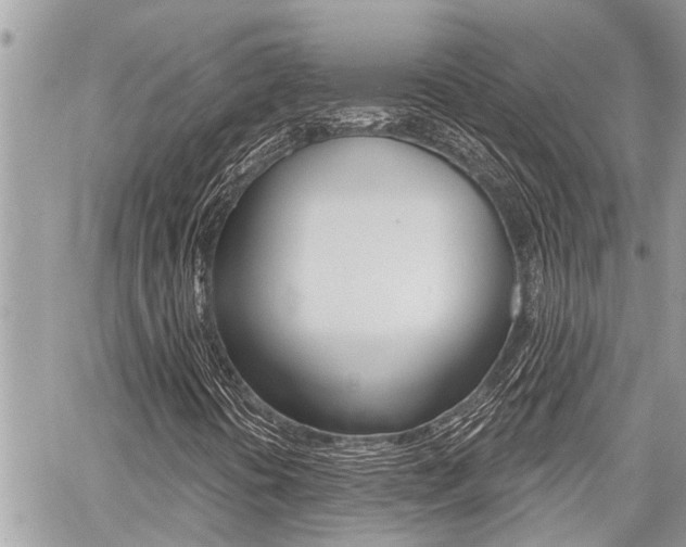 X0000060761394200511100901