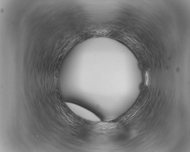 X0000060761395200511100901