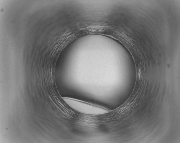 X0000060761396200511100901