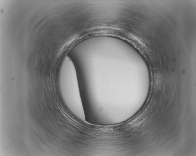 X0000060761403200511100901