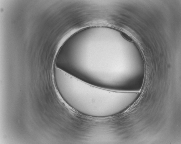 X0000060761440200511100902