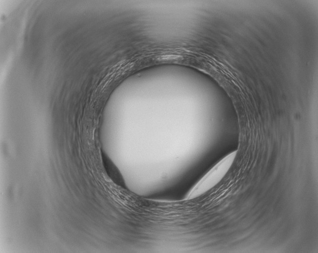 X0000060761441200511100901