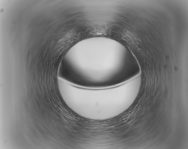 X0000060761442200511100901