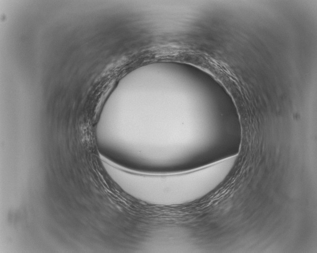 X0000060761445200511100901