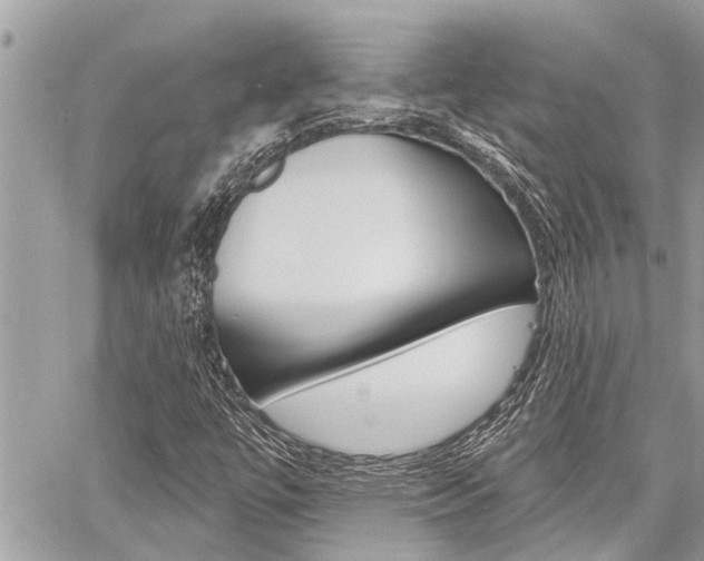 X0000060761447200511100901