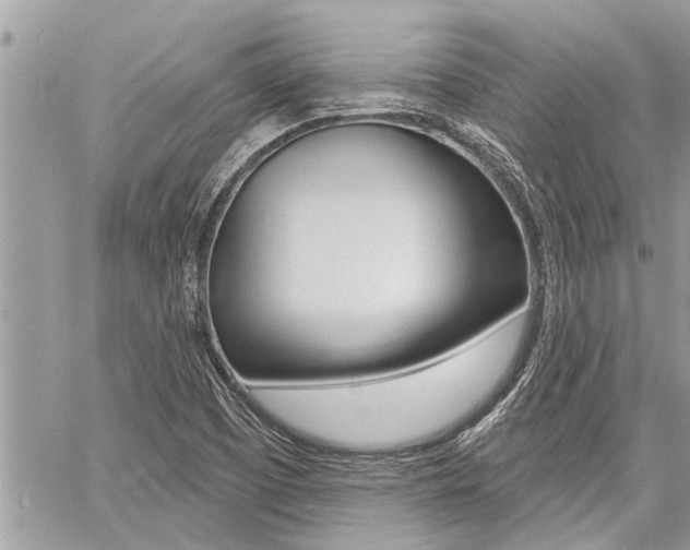 X0000060761457200511100901