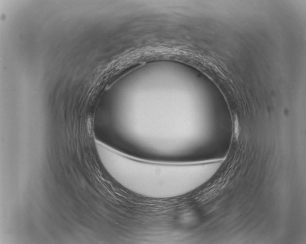 X0000060761492200511100859