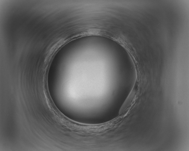 X0000060760001200511101152