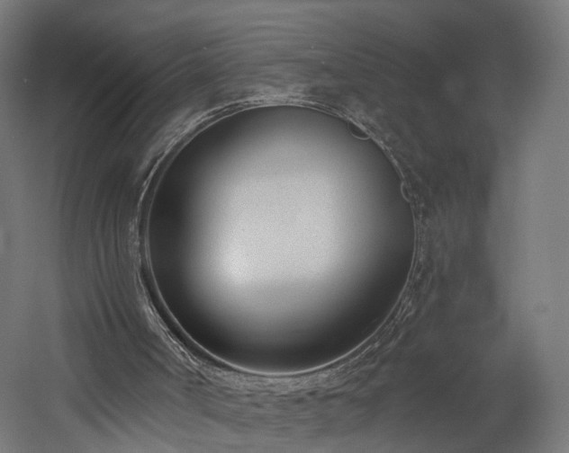 X0000060760002200511101152