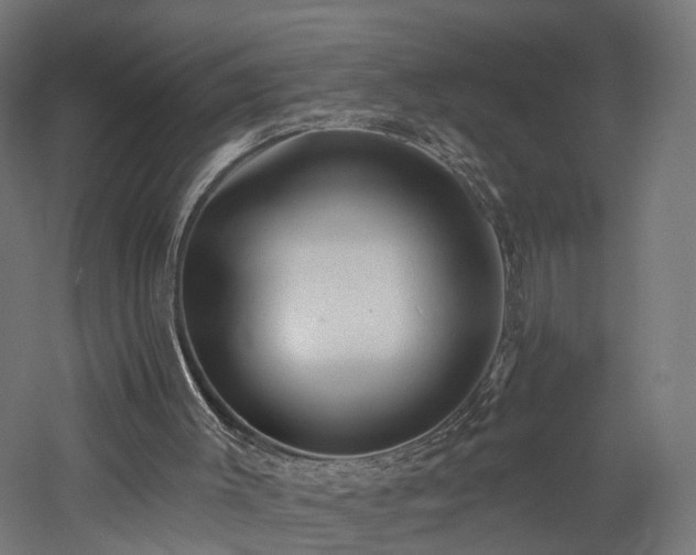 X0000060760003200511101152