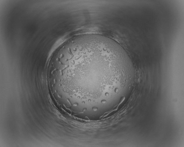 X0000060760004200511101152