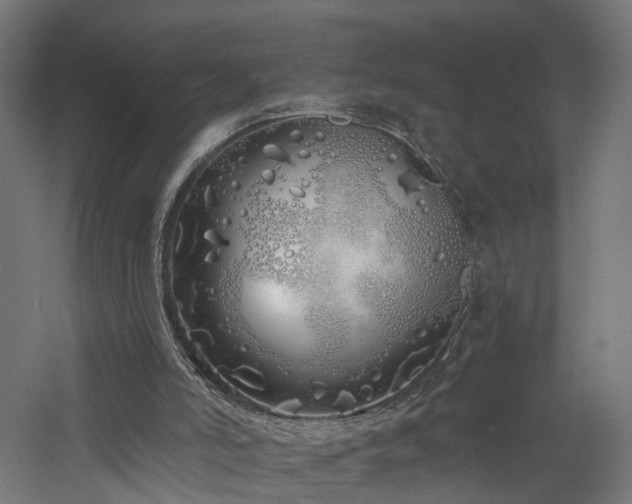 X0000060760006200511101152