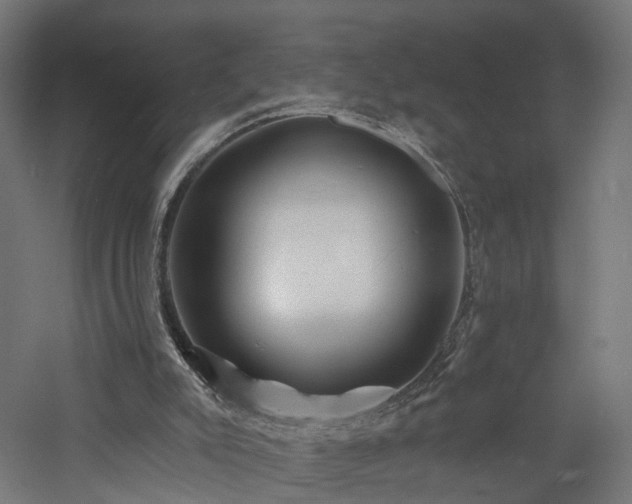 X0000060760007200511101152