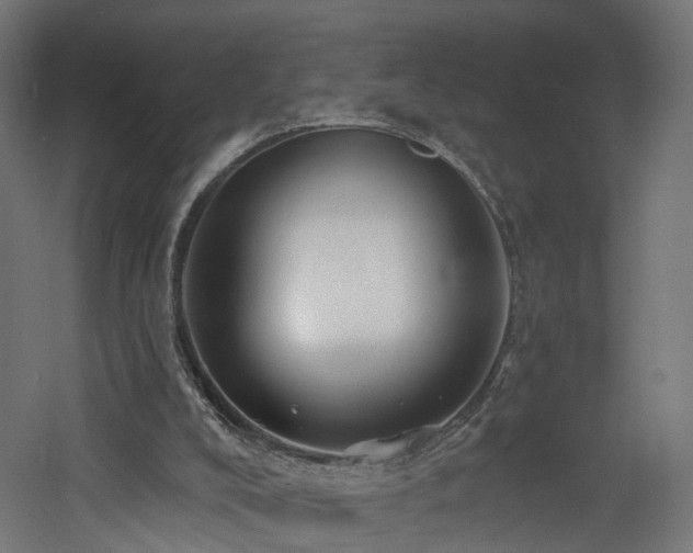 X0000060760008200511101152