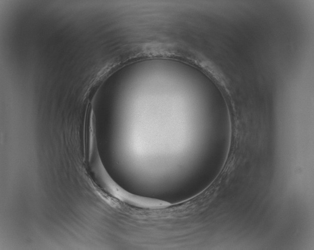 X0000060760009200511101152