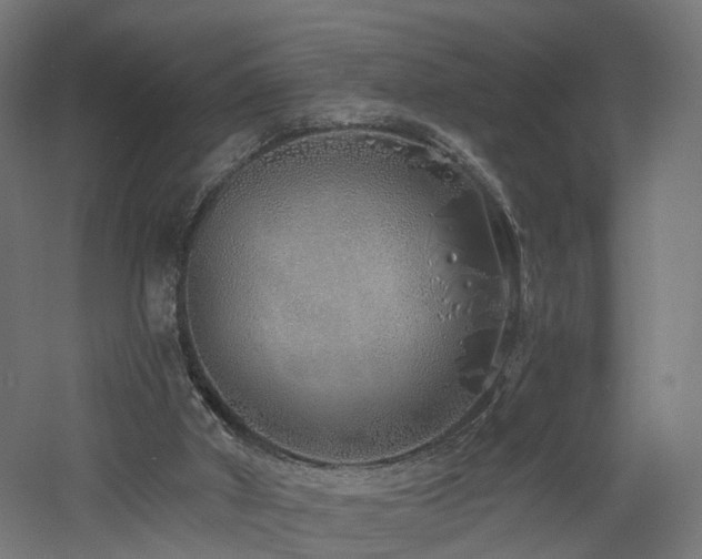 X0000060760010200511101152