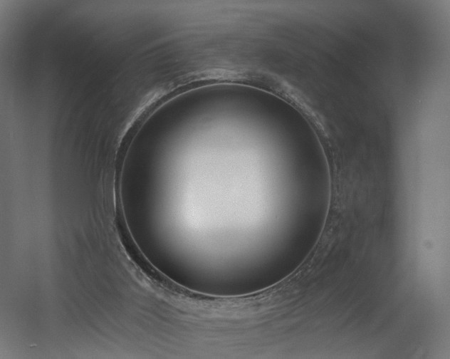 X0000060760011200511101152