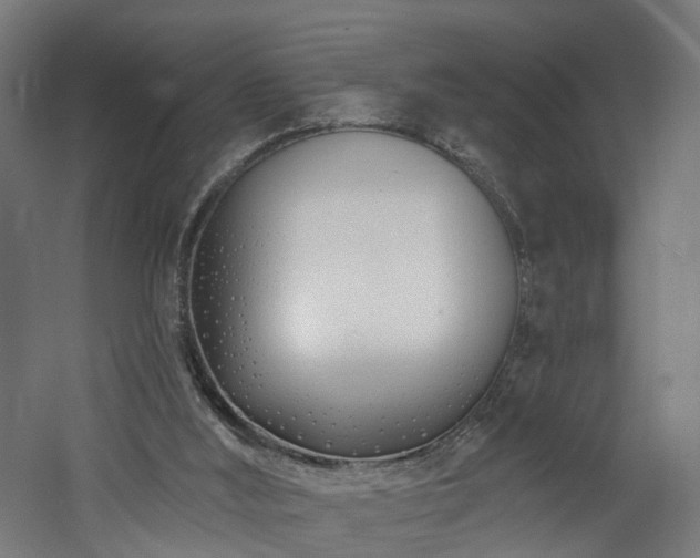 X0000060760012200511101152