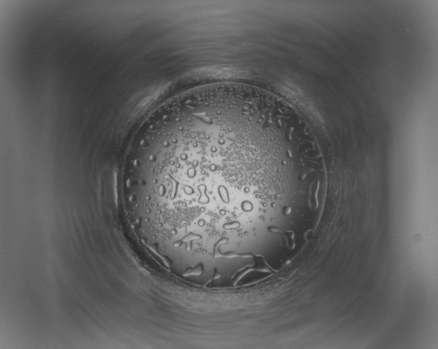 X0000060760014200511101152