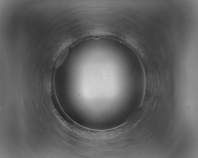 X0000060760015200511101152