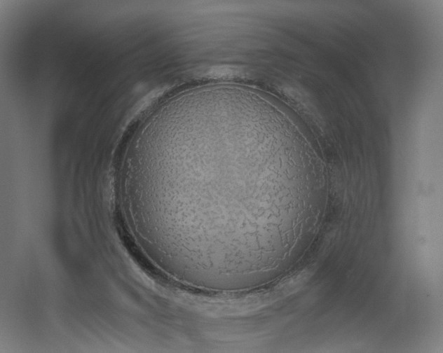 X0000060760016200511101152