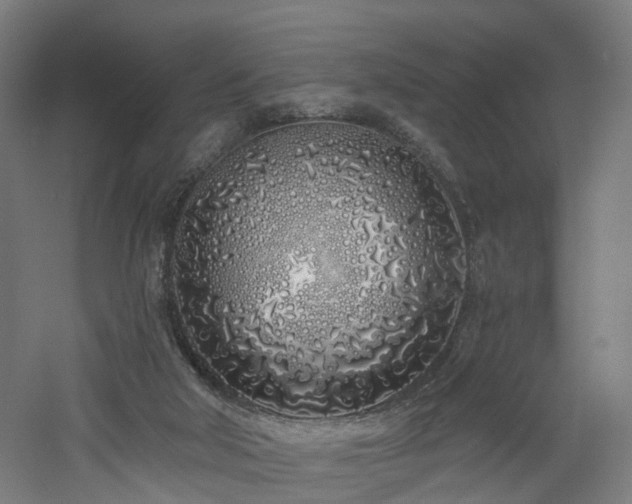 X0000060760018200511101152