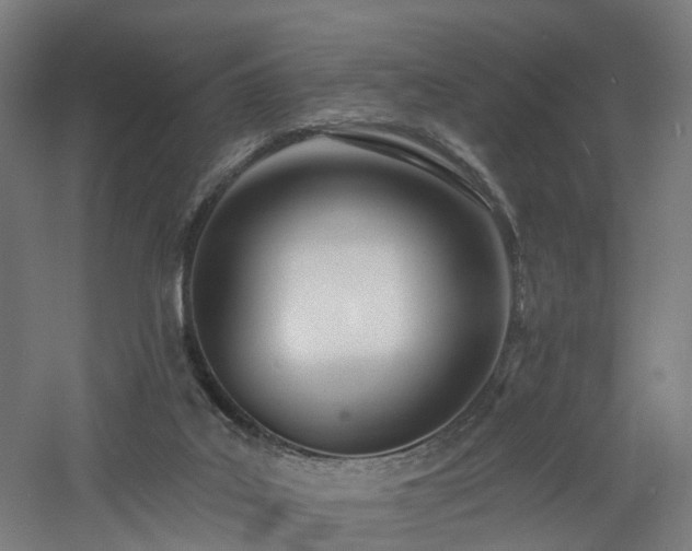 X0000060760019200511101152