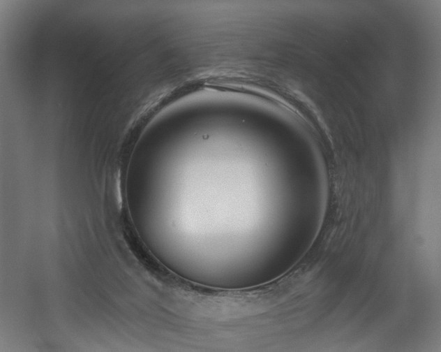 X0000060760020200511101152