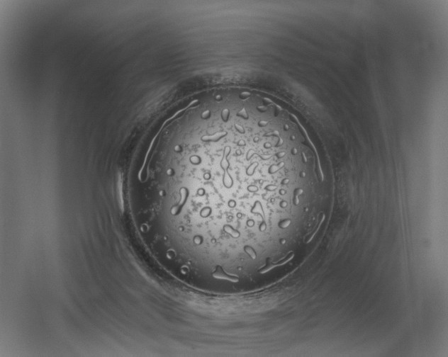 X0000060760022200511101152