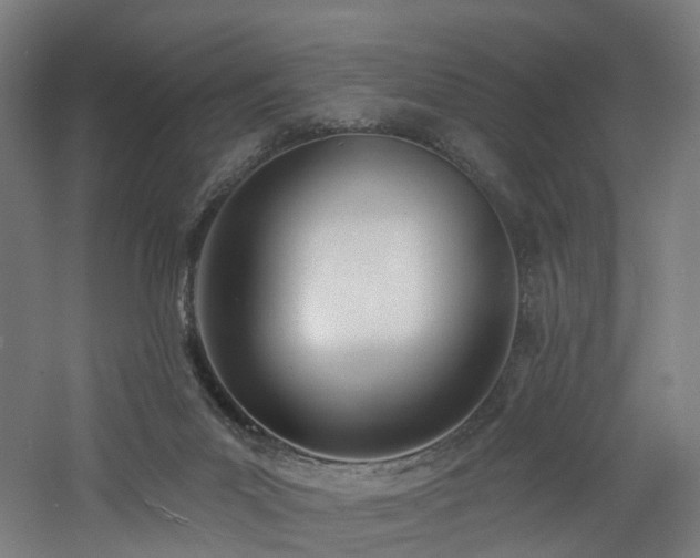 X0000060760023200511101152