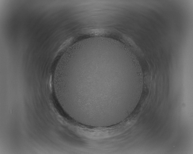 X0000060760024200511101152