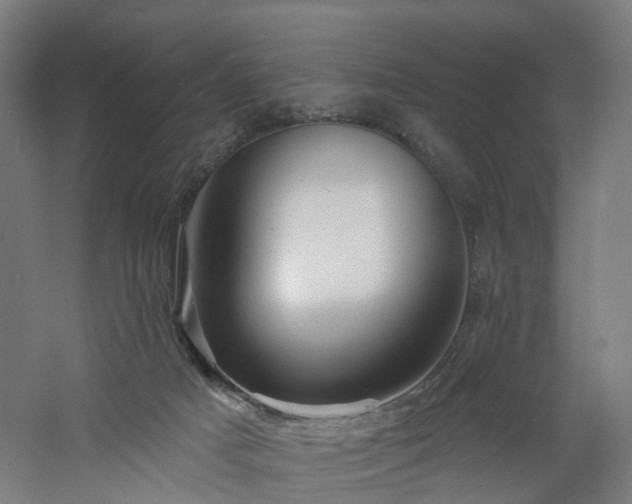 X0000060760025200511101152