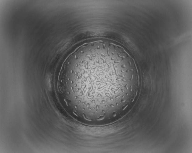 X0000060760026200511101152