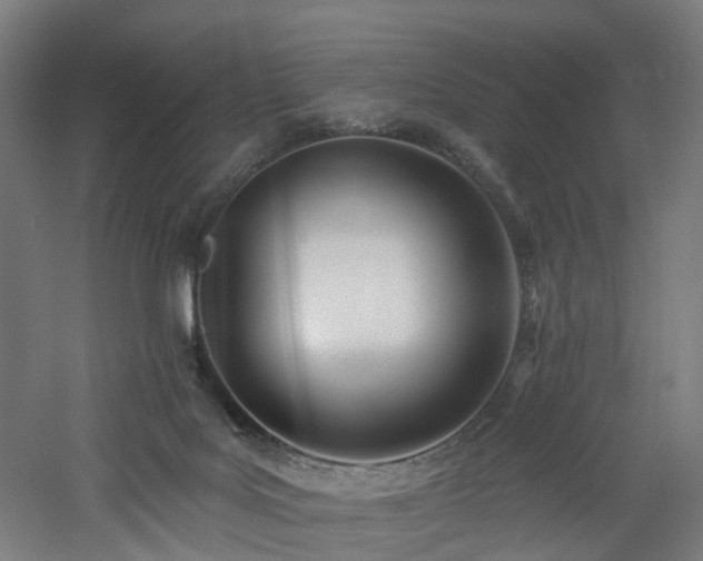 X0000060760027200511101152