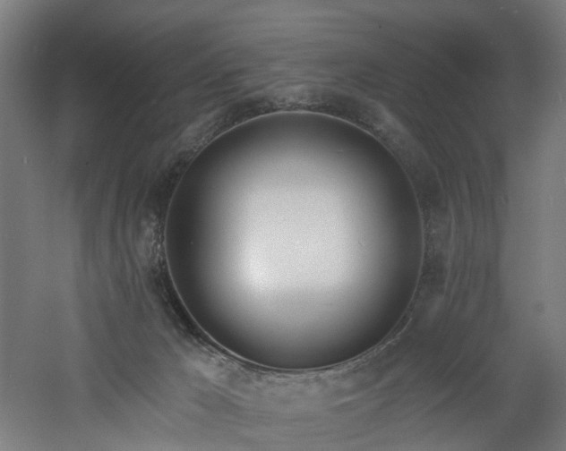 X0000060760029200511101152