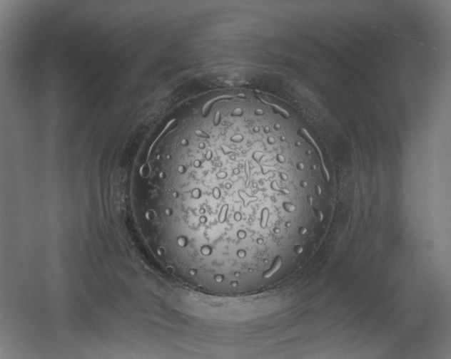 X0000060760030200511101152