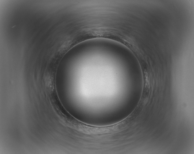 X0000060760031200511101152