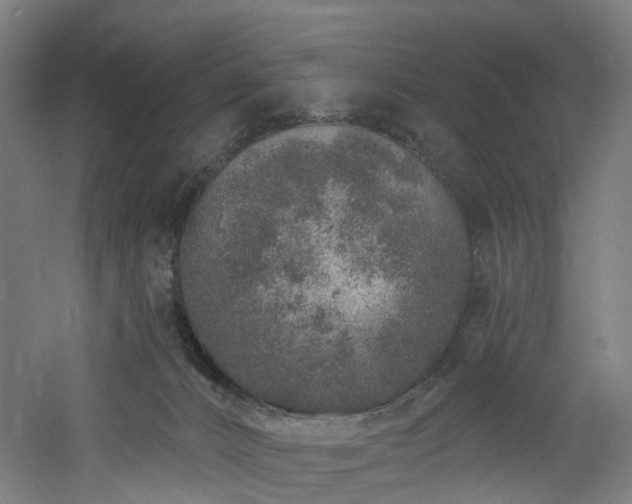 X0000060760032200511101152