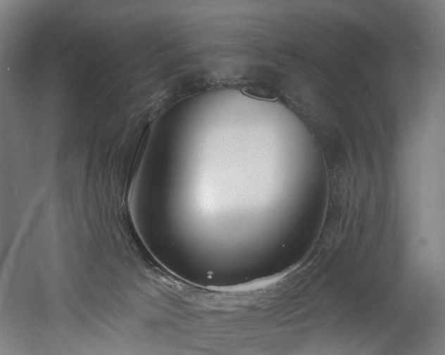 X0000060760033200511101152