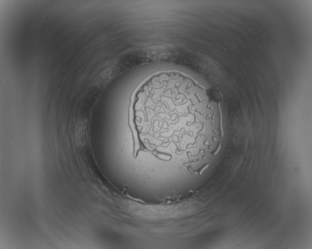 X0000060760034200511101152