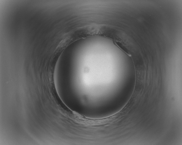 X0000060760035200511101152