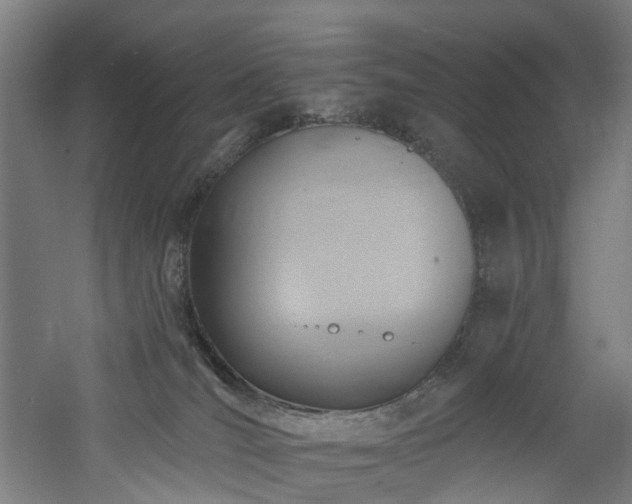 X0000060760036200511101152