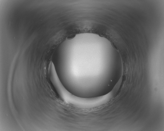 X0000060760037200511101151