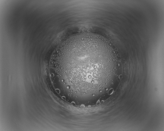 X0000060760038200511101151